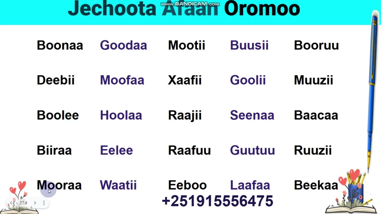 Jechoota Afaan Oromoo Viidiyoo tokkon