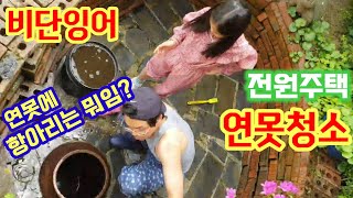 전원주택*연못청소*비단잉어키우기*동면비법*항아리로 은신처 만들어주기
