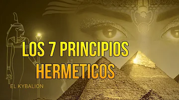 ¿Cuáles son los 7 elementos de los principios?