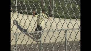 =Travis Harrison Mini Throwaway Part 2=
