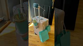 Nobl Viral Luggage Review