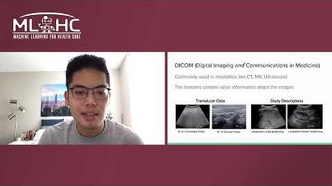 B10 Self-Supervised Pretraining with DICOM metadata in Ultrasound Imaging