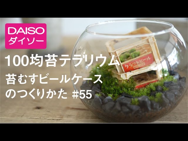 100均苔テラリウムの作り方 ダイソー編３ Make Moss Terrarium With Daiso Products 55 Youtube