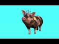 Princess the Pig