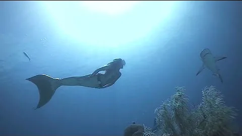 Linden Wolbert Underwater Mermaid Model (Mermaids ...