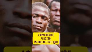 Африканское рабство. Масштаб трагедии #истории_с_азаровым #рабовладение #африка #евнух #трагедия