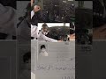 عندما يصبح الحلم حقيقة shorts mp3