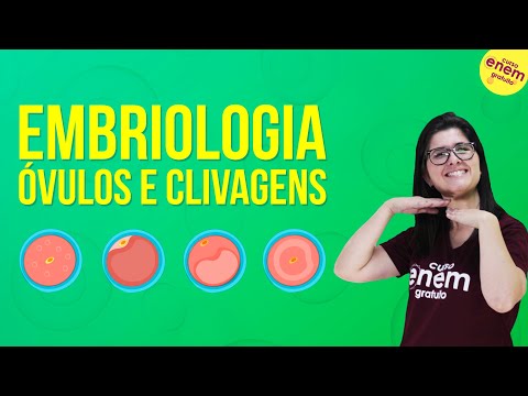 Vídeo: O que é clivagem em biologia?