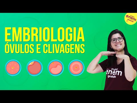 Vídeo: Diferença Entre óvulo E Ovo