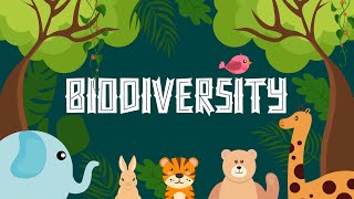 What Is Biodiversity?  Definition, Types And Importance  Biological diversity  Learning Junction