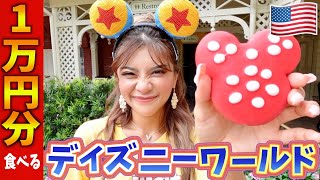 【大食い】アメリカのディズニーワールドで1万円分食べ続ける企画！笑笑 in DISNEY’s Magic Kingdom Park