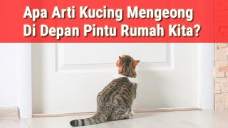 Apa Artinya Kucing Muncul Di Depan Pintu Rumah Kita? by MeongLy 9,832 views 2 years ago 7 minutes, 1 second