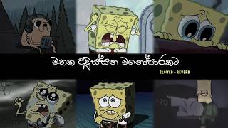 මතක අවුස්සන මනෝපාරකට 🤍| Slowed   Reverb Sinhala Song Collection