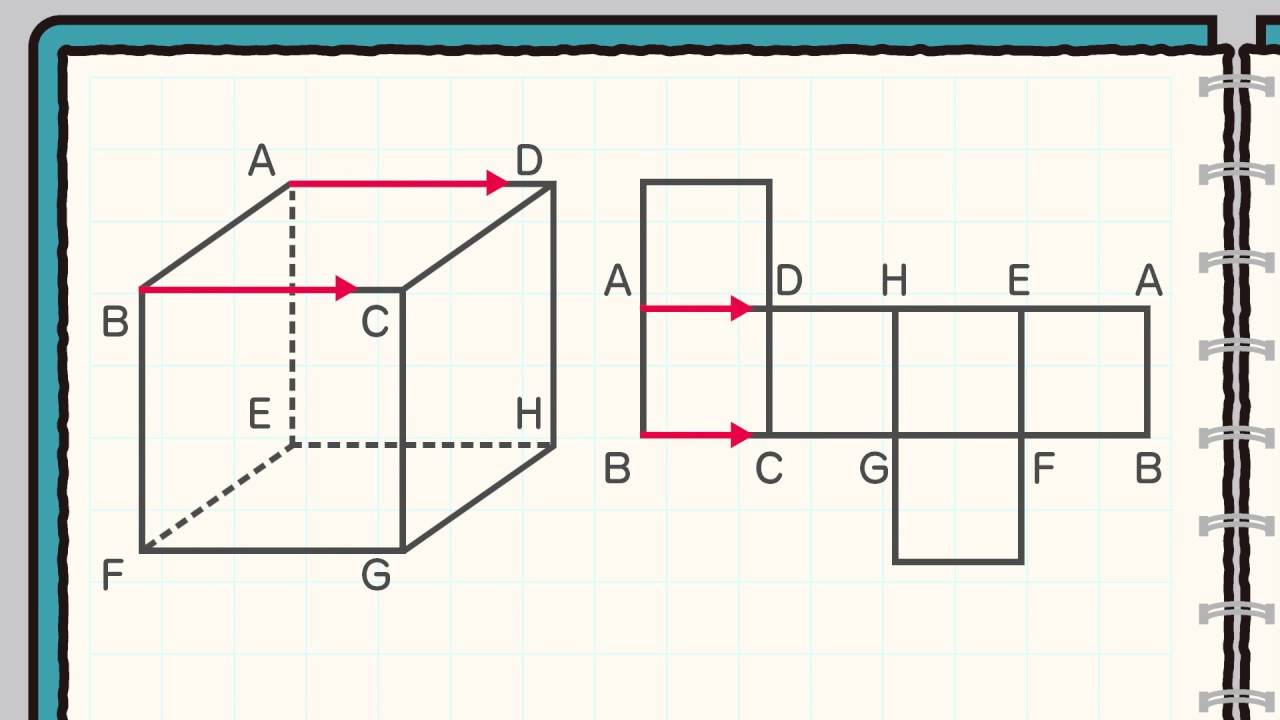 立方体 展開図の頂点はどこ 初級編問題 Youtube