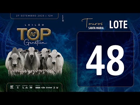 LOTE 48 FSM A2739