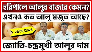 Download lagu হরিপাল আলু বীজ ব্যবসায়ী সমিতির AGM | জ্যোতি-চন্দ্রমুখী-হিমালিনীর আজকের দাম কত? | কত আলু মজুত?