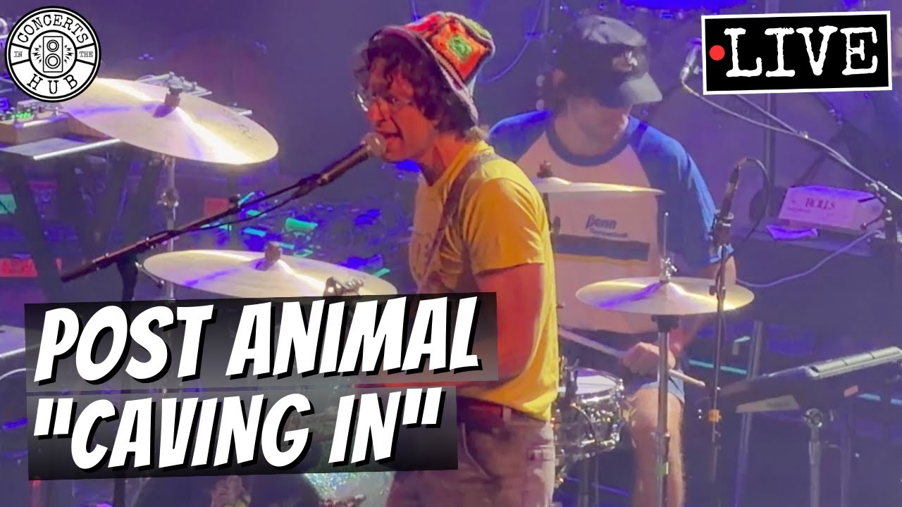 Post Animal "Caving In" LIVE