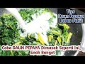 Daun Pepaya Dimasak Seperti Ini Enak Banget dan Tidak Pahit II SAYUR LODEH BUMBU RACIK DAUN PEPAYA