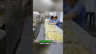 Modern chicken incubation and breeding technology. #chickens  #farm  #discover  #knowledge