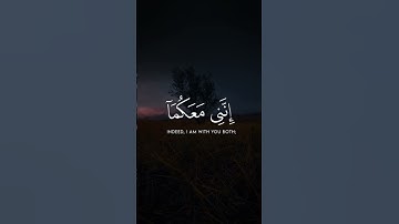 قال لا تخافا. تلاوة هادئة تريح القلب #قران_كريم #قرآن #اكسبلور #المصحف