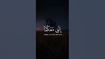 قال لا تخافا. تلاوة هادئة تريح القلب #قران_كريم #قرآن #اكسبلور #المصحف
