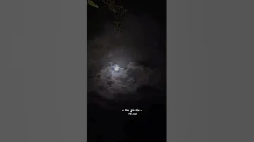 تامر حسني حبيبي النهارده لازم تعرف اغاني بدون موسيقى 