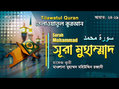 সূরা মুহাম্মাদ || سورة محمد || Surah Muhammad || আয়াত ২৪-২৯