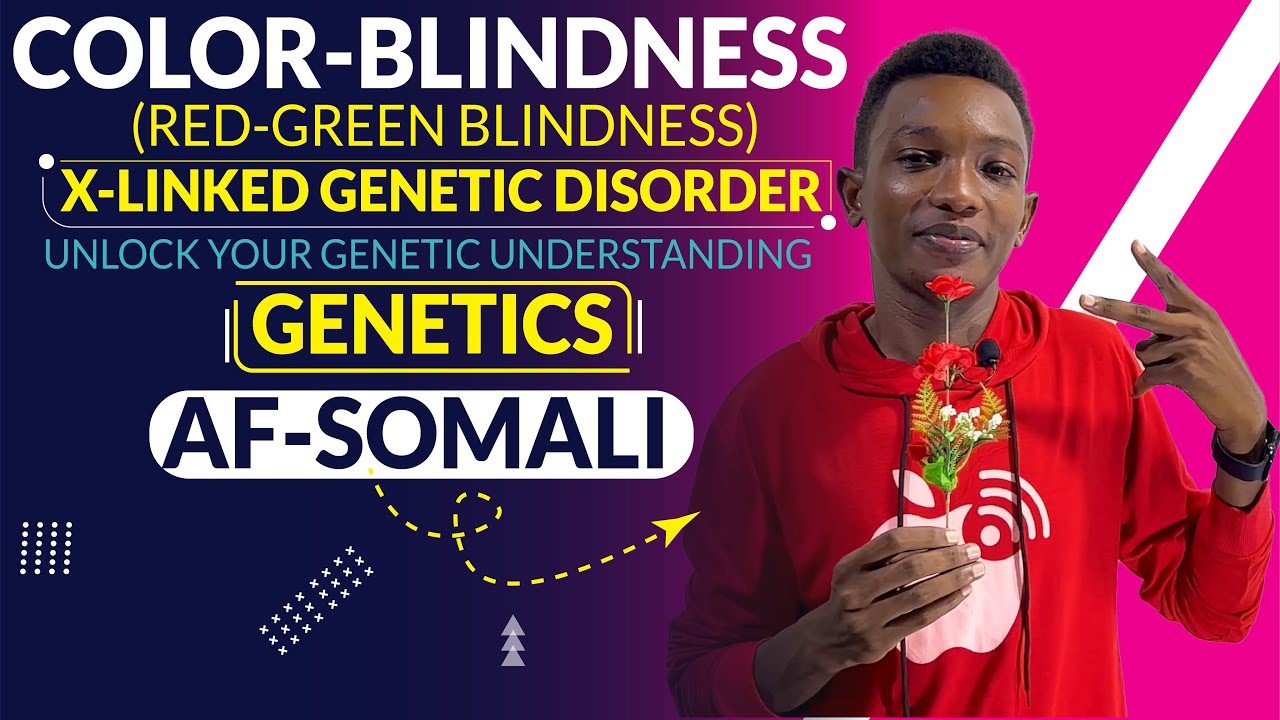 Form Three Biology Colour Blindness Af Somali Video 01