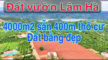 Đất vườn Lâm Hà 4000m², thổ cư 400m², sổ hồng riêng, gần Đà Lạt, giá tốt.