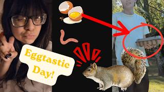 EGGTASTIC DAY!! - 1st Friday Vlog