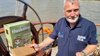 Darwin200 Project - Huskaloo Coconut Cat Litter