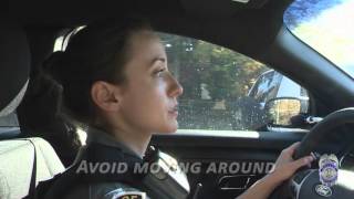 Ride Along with Us; What to Expect on a Traffic Stop