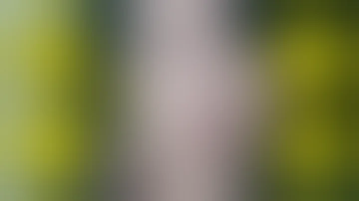 為什麼全世界都無法阻止韓國人霸凌？ ？ ？韓國財閥真實事件？ - 天天要聞