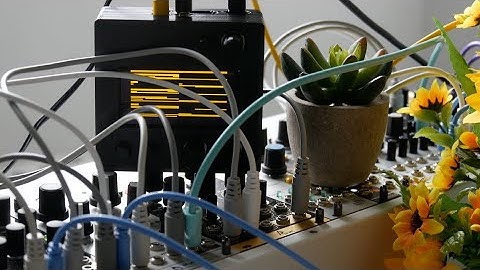 sunflowers // Eurorack Ambient & Monome Norns Barcode Script