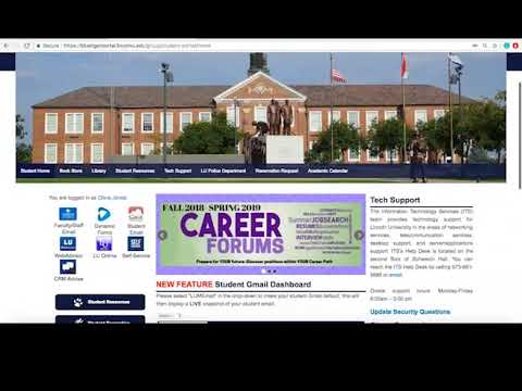 Login to Blue Tiger Portal and Canvas for New Student Orientation