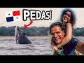🇵🇦Dijeron que AQUÍ VERIAMOS ballenas, pero NO TODO SALE BIEN... 😭 | (Vlog 06# PANAMÁ)