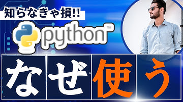 【疑問】なぜPythonはこんなによく使われるのか？【ボイロ解説】
