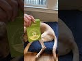 What you should know about this Nose & Paw Balm
