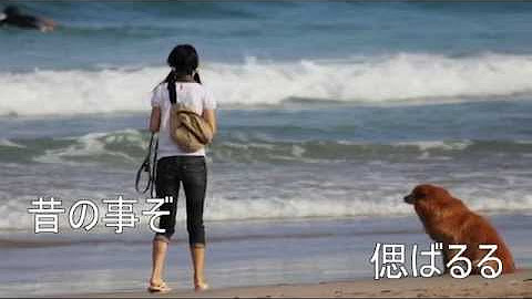 野村竜二 Youtube