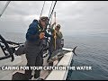 Caring for your catch on the water - bluefin and yelowfin tuna