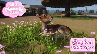 Realistic Nile Lechwe Habitat: Ep 1 Planet Zoo Random Challenge!
