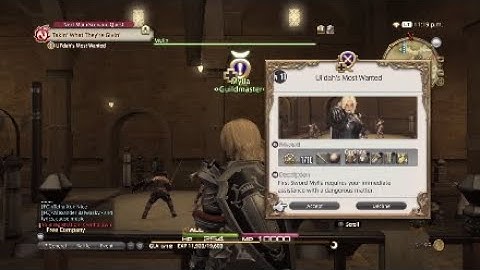 FINAL FANTASY XIV: A Realm Reborn - Gladiator