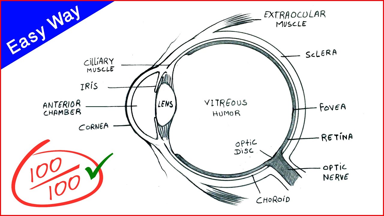 Simple Eye Diagram