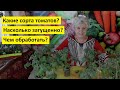 Пора сеять томаты для выращивания в холодных тоннелях на продажу! Все подробности посева.