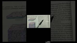 Epithelial Tissue | Class 9 Science | Chapter 6 – Tissues | NCERT Explanation in Simple Way
