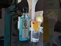 Gin And Tonic Cocktail Ginandtonic Bombaysapphire 
