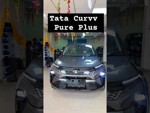 Tata Curvv |