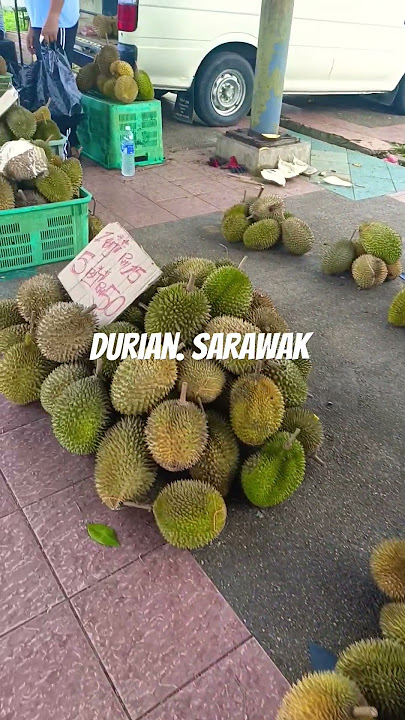 Durian Sarawak