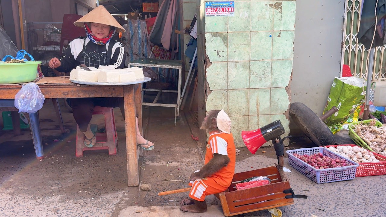 CUTIS sells in the most unbelievable way