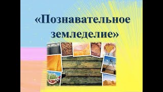 Познавательное земледелие